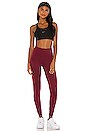 view 4 of 4 LEGGINGS ONE TIGHT in Dark Beetroot