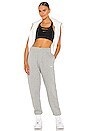 view 4 of 4 NSW Fleece Everyday Essentials Pant in Dark Heather Grey & White