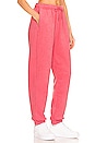 view 2 of 4 NSW Essential Plush Jogger in Archaeo Pink