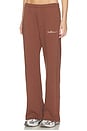 view 3 of 6 PANTALON in Fauna Brown