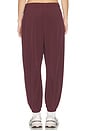 view 4 of 6 PANTALON in Burgundy Crush & White