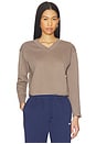 view 1 of 4 V Neck Long Sleeve Golf Top in Mink Brown & Sail