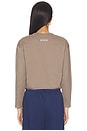 view 3 of 4 V Neck Long Sleeve Golf Top in Mink Brown & Sail