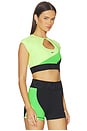 view 2 of 4 Medium Support Padded Short Sleeve Sports Bra Top in Mean Green, Black, Light Lemon Twist, & Black
