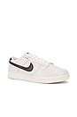 view 2 of 6 Dunk Low Se Sneaker in White, Black, & Team Red