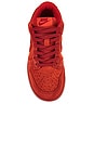 view 4 of 6 Dunk Low SE Sneaker in Picante Red & Dragon Red