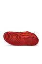 view 6 of 6 Dunk Low SE Sneaker in Picante Red & Dragon Red