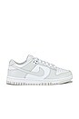 view 1 of 6 Dunk Low Sneaker in Photon Dust & White