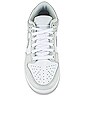 view 4 of 6 Dunk Low Sneaker in Photon Dust & White