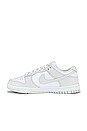 view 5 of 6 Dunk Low Sneaker in Photon Dust & White