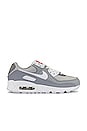 view 1 of 6 Air Max 90 Sneaker in Light Smoke Grey, White, & Summit White