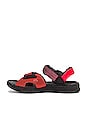 view 5 of 5 SANDALES ACG AIR DESCHUTZ + in Redstone & Black