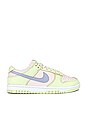 view 1 of 6 Dunk Low Sneaker in Light Soft Pink, Ghost, Lime Ice, & White