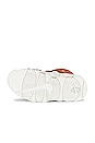 view 6 of 6 Air More Uptempo Sneaker in Phantom, Black, Orange Trance, & Sail