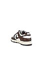 view 3 of 6 Dunk Low Sneaker in Sail, Cacao Wow, & Coconut Milk