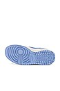 view 6 of 6 КРОССОВКИ DUNK LOW NEXT NATURE in Blue Tint, Cobalt Bliss, Summit White, & Volt