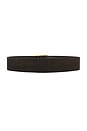 view 2 of 3 CEINTURE NILI in Espresso