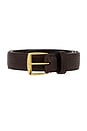 view 3 of 3 CEINTURE SLOANE in Dark Brown