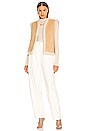 view 4 of 4 Jesse Shearling Vest in Beige