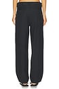 view 4 of 6 PANTALON EARL  in Carbon