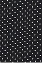 view 6 of 5 CHEMISE GAIA  in Obsidian & Ivory Polka Dot