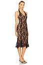 view 2 of 4 Fiona Dress in Black Lace