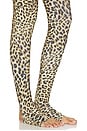 view 5 of 4 Long Sleeve Slim Fit Turtle Catsuit With Footie in Cheetah Patch