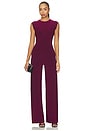 view 1 of 3 Sleeveless Jumpsuit in Plum