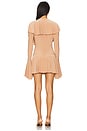 view 3 of 3 Long Sleeve Ruffle Mini Dress in Cappuccino