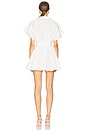 view 3 of 3 Sleeveless Shirt Flared Mini Dress in Snow White