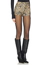 view 2 of 6 SHORT TAILLE HAUTE in Cheetah Patch
