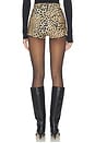 view 4 of 6 SHORT TAILLE HAUTE in Cheetah Patch