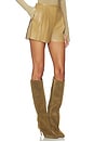view 2 of 6 Mens Pleat Short in Camel