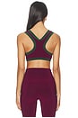 view 3 of 4 SOUTIEN-GORGE DE SPORT SIDE STRIPE RACER in Plum & Dark Emerald