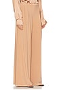 view 2 of 6 Mens Pleat Pant in Cappuccino