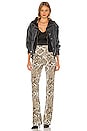 view 4 of 4 Boot Pant in Scale Python