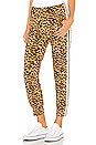 view 1 of 4 Side Stripe Jog Pant in Golden Leopard & Offset Stripe