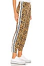 view 2 of 4 Side Stripe Jog Pant in Golden Leopard & Offset Stripe