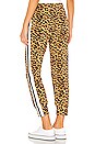 view 3 of 4 Side Stripe Jog Pant in Golden Leopard & Offset Stripe