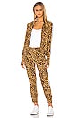 view 4 of 4 Side Stripe Jog Pant in Golden Leopard & Offset Stripe