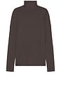 view 8 of 9 Slim Fit Long Sleeve Turtle Top in Chocolate