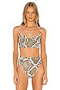 view 1 of 4 HAUT DE MAILLOT DE BAIN UNDERWIRE in Scale Python