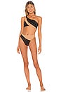 view 4 of 4 Snake Mesh Bikini Bottom in Black & Nude Mesh