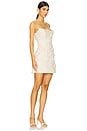 view 2 of 4 Rosalie Mini Dress in Nude