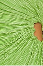 view 4 of 4 Mirage Gown in Matcha