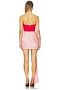 view 3 of 3 Chiara Mini Dress in Red & Pink