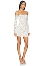 view 2 of 4 Alessia Mini Dress in Ivory