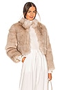 view 1 of 4 Tatiana Faux Fur Jacket in Cream