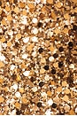 view 5 of 5 УКОРОЧЕННЫЙ ТОП TYLA in Copper