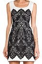 view 5 of 6 Kissing Booth lace Dress en Ivory/Black in Ivory & Black